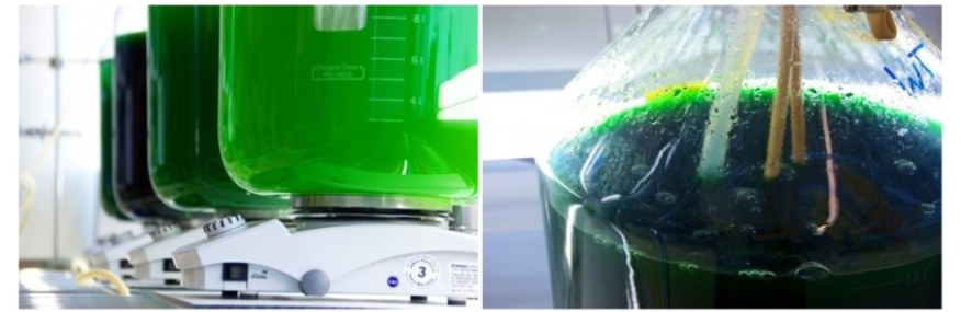 labsPHOTANOL