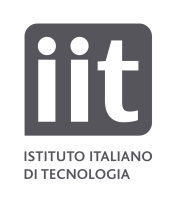 IIT